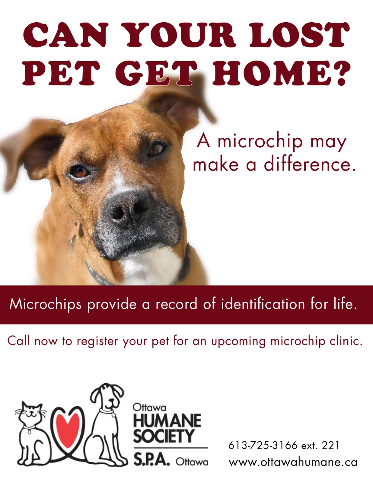 How To Register Microchip For Free / Pet Identification Microchips and