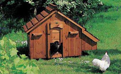 chicken coop build crafting busy elements building houses crucial chickens plans cheap dale higgins backyard hen discover