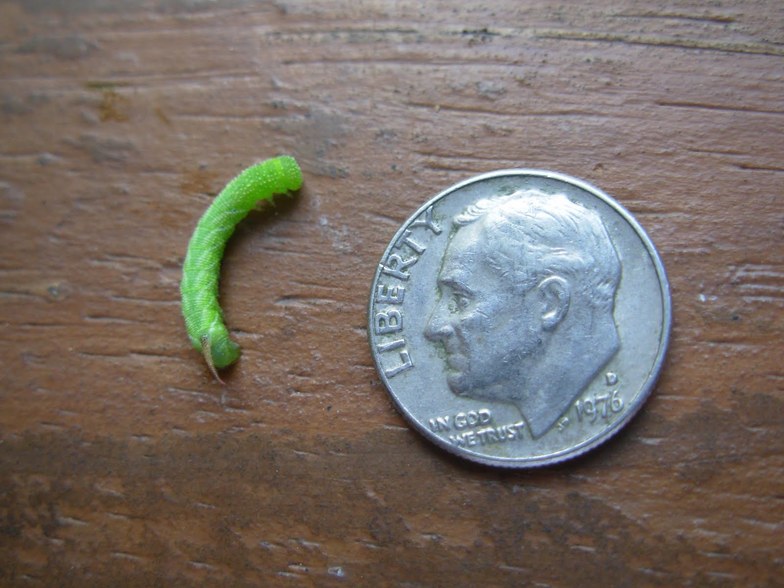 Dirt Under My Fingernails