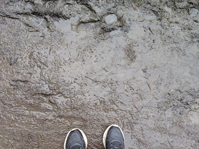 Observatory kielder Kielder Winter Wonderland Review & Tips | North East Family Fun