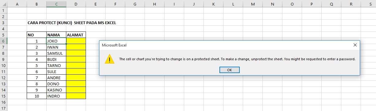 Protecting Sheets in Excel