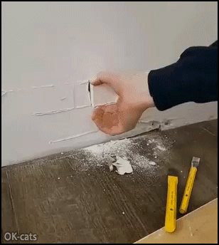 Funny cat GIF • Black cat hidden in a wall tries to catch human hand through a hole in wall Funny cat GIF • Black cat hidden in a wall tries to catch human hand through a hole in wall