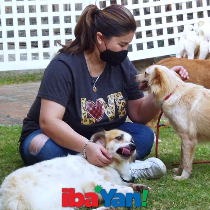 Sharon Cuneta buys rescue aspin Pawiboy an LV dog collar