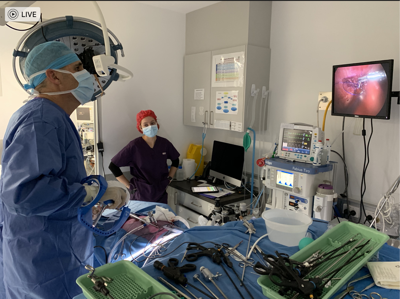 World's first robotic gastropexy performed by Melbourne Vet