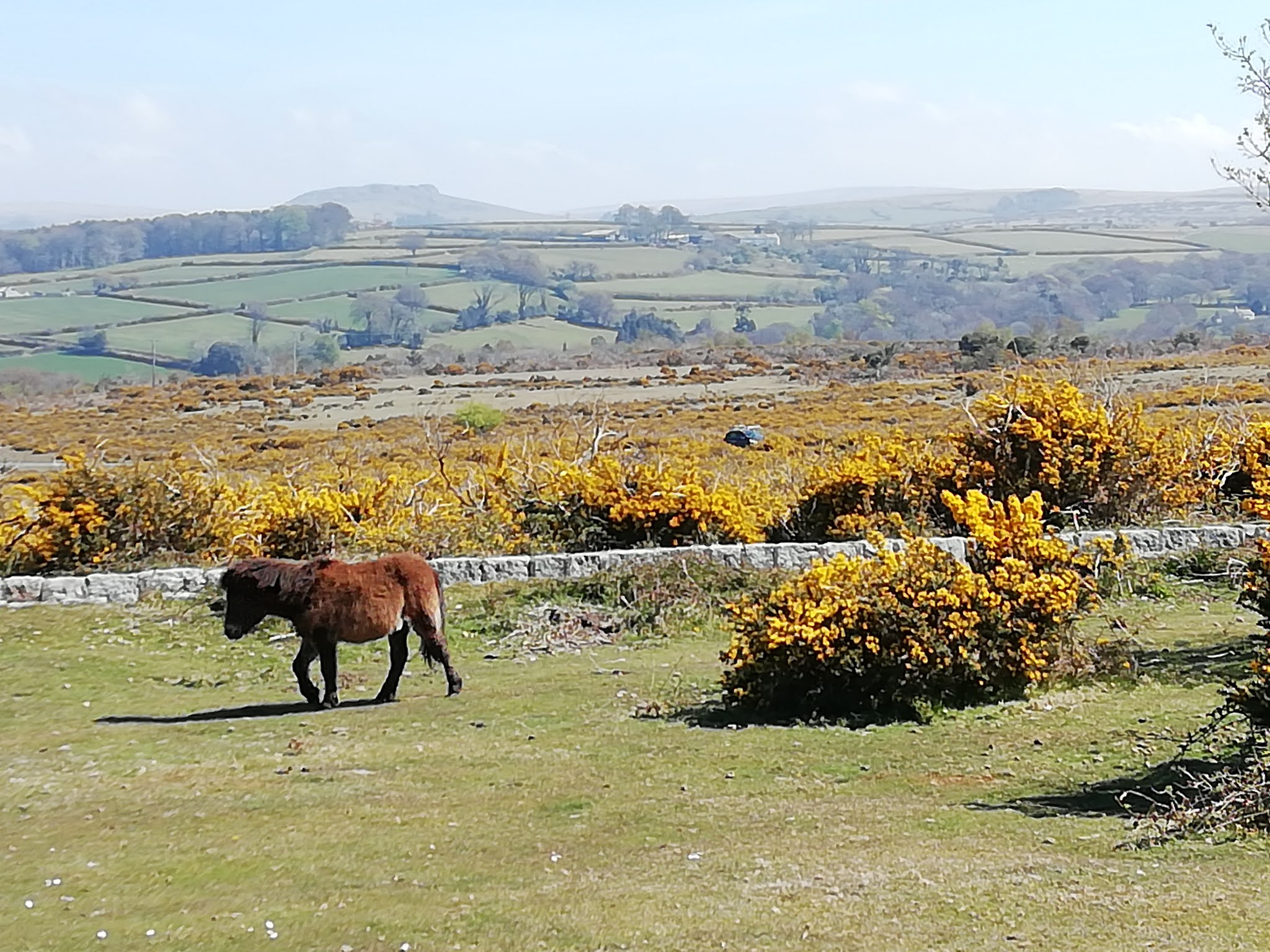 Life in Plymouth Clearbrook to the Rock, Yelverton