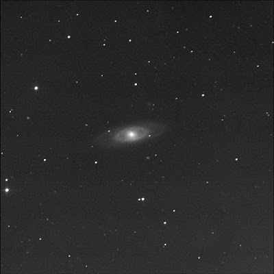 galaxy NGC 4274 in luminance
