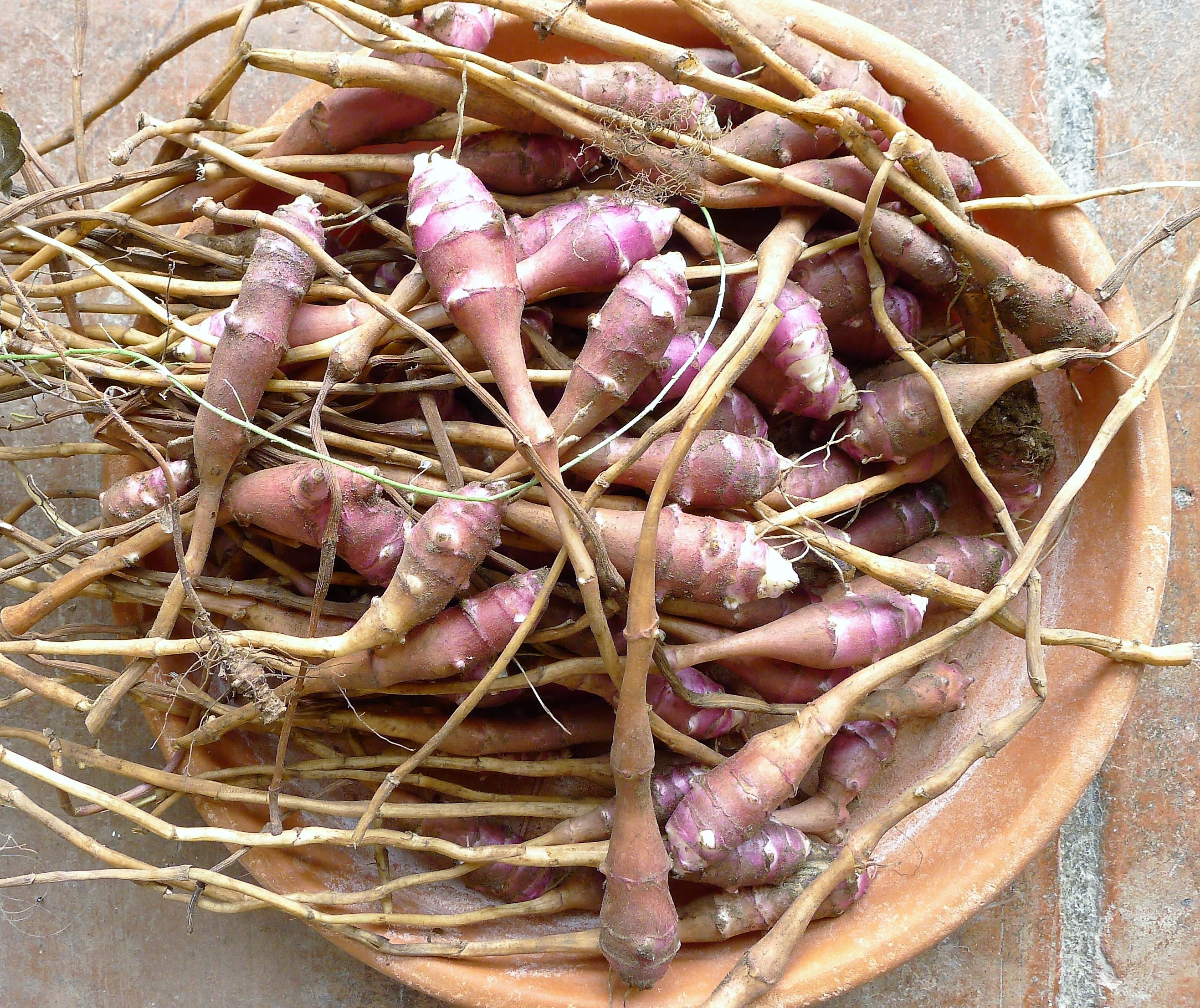 MY KITCHEN IN SPAIN NEW ROOT ON THE BLOCK