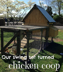 chicken coop swing diy plans turned play cool coops homemade sets designs op coup into swingset mavis building chickens wooden
