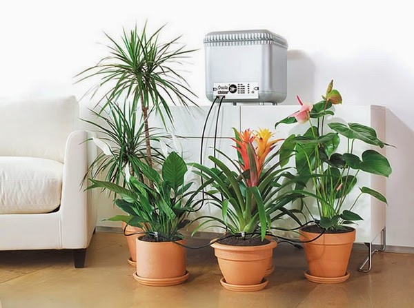 Watering of indoor plants