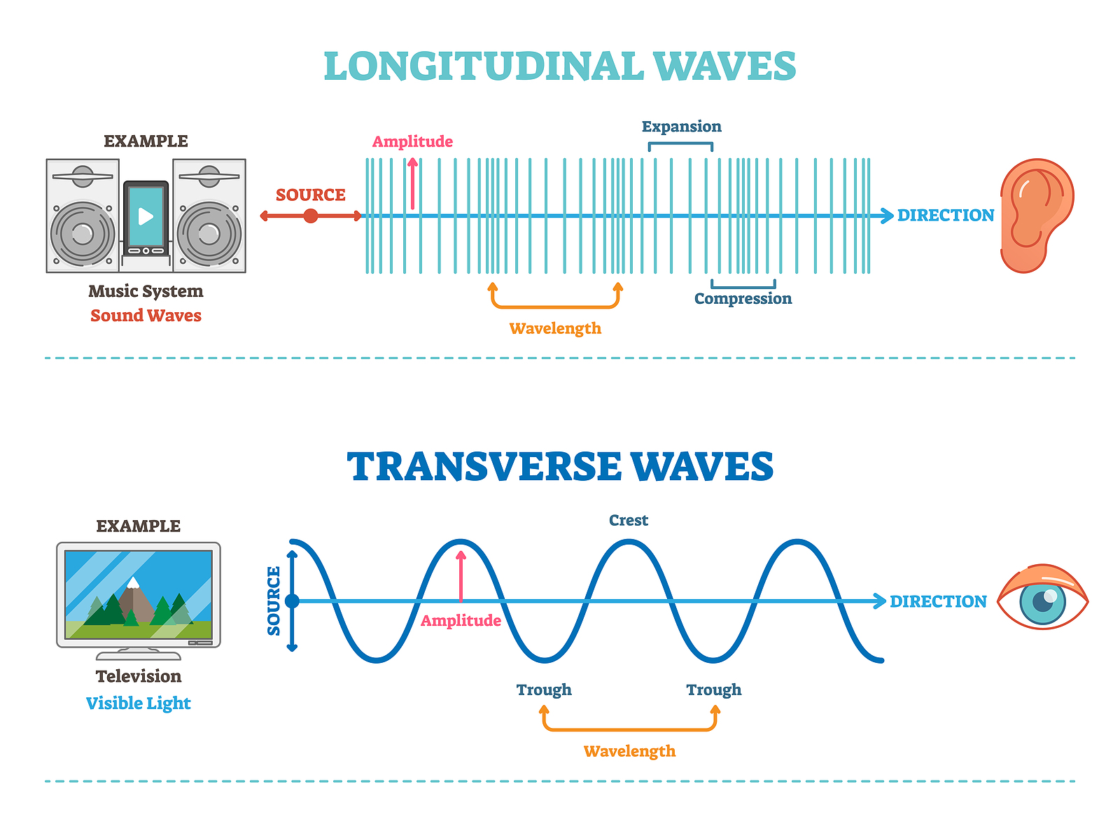 longitudinal waves which travel