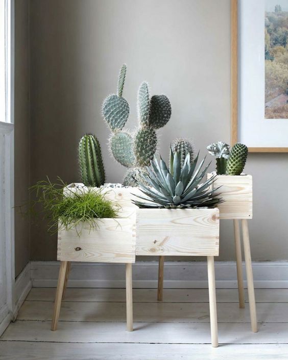 10 ideas diy para lucir macetas nuevas