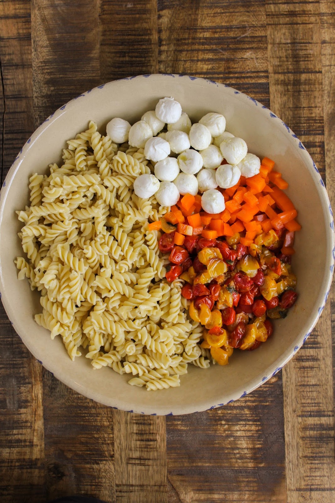 Roasted Tomato and Sweet Pepper Pasta with Fresh Mozzarella