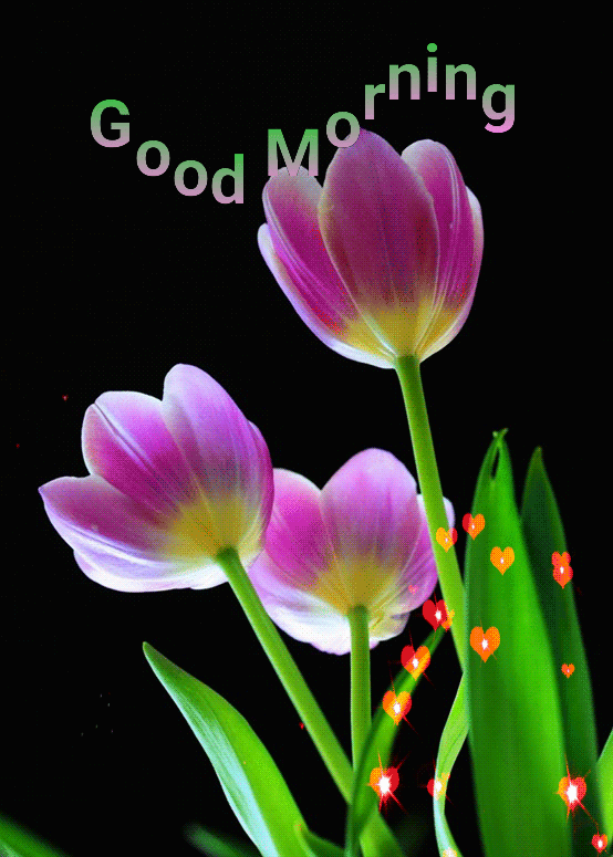 25+ Animated Good Morning Wishes Gif For Whatsapp...