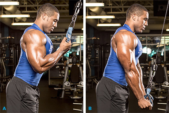 Triceps Exercises