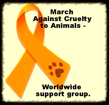 Justice For Mary - Animal Advocacy: Join the MARCH AGAINST CRUELTY TO ...