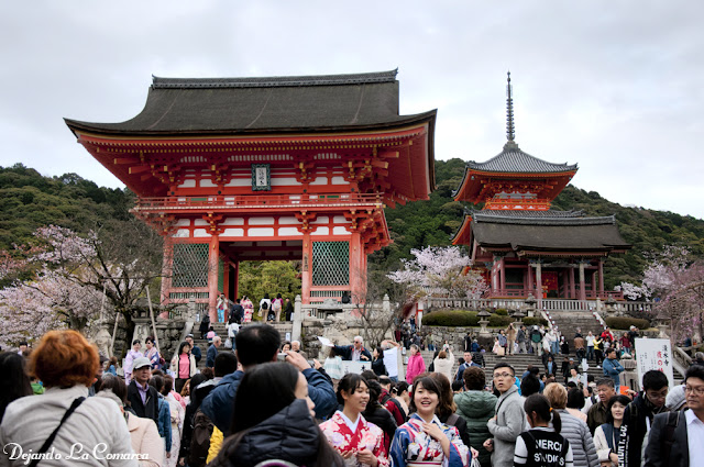 Día 12 - Kyoto (Ginkakuji - Palacio Imperial - Kiyomizu - Gion) - Japón primavera 2016 - 18 días (con bajo presupuesto) (25)