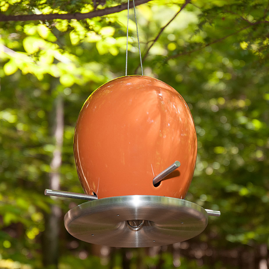 Bird In Everything Orange Bird Feeder