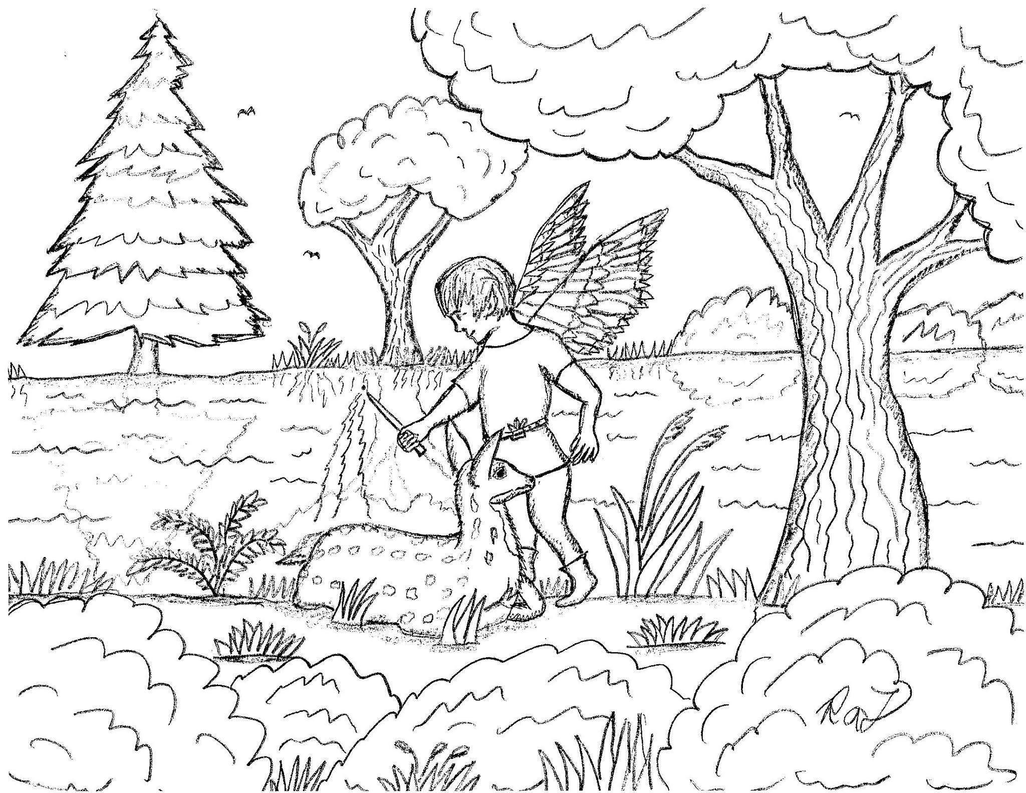 Robin's Great Coloring Pages: A New Wildlife Fairy drawing and some other  Wildlife Fairies coloring pages