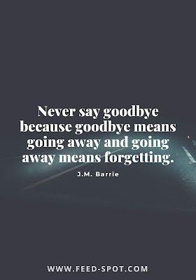 Best Goodbye Quotes and Farewell Wishes, Sayings