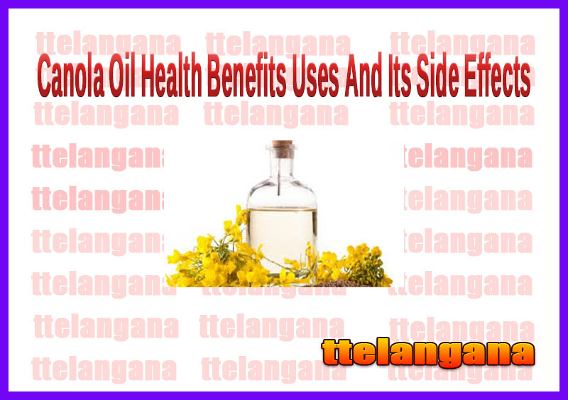Canola Oil Health Benefits Uses And Its Side Effects
