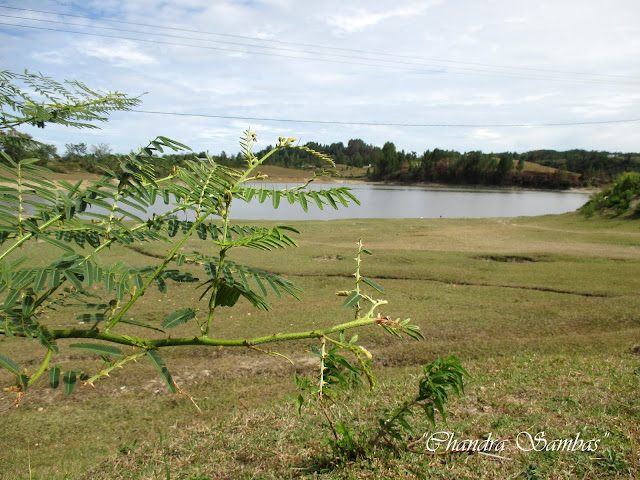 Danau Sidihoni Samosir