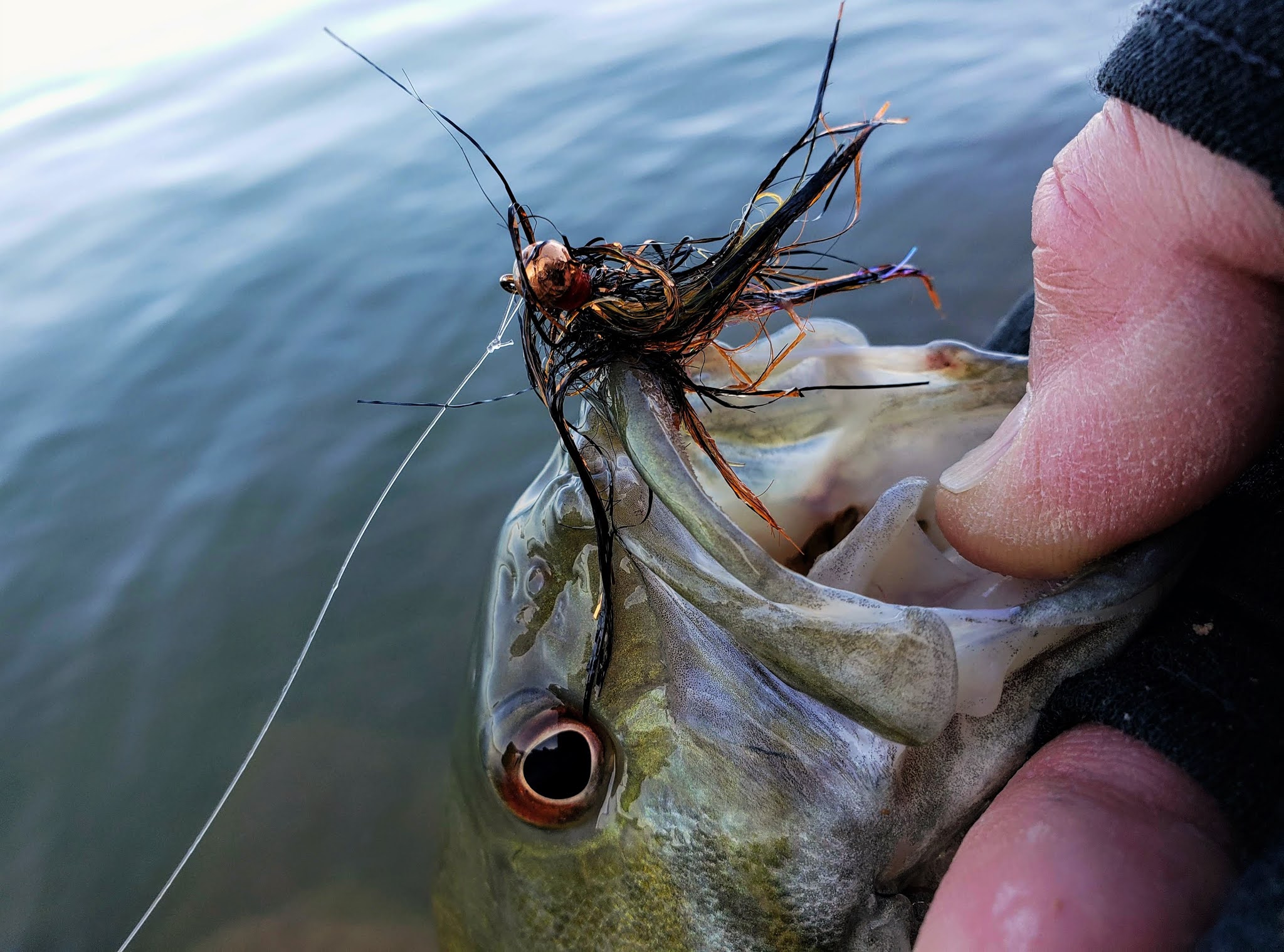 Gorge Fly Shop Blog: I love Ole' Rubber Lips, and I'm not afraid to say it!