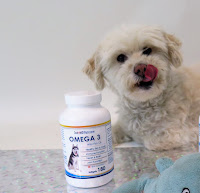 Omega 3's Omega supplements for dogs, Dog health, Supplements for dogs,