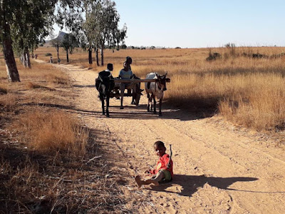 niños-etnia-bara-poblado-bara-de-mariany-madagascar-enlacima