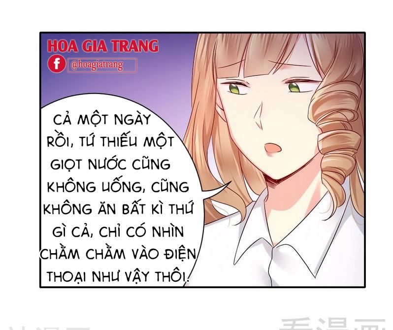 Phục Thù Thiếu Gia Tiểu Điềm Thê