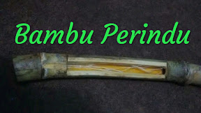 √ [BULUH] Perbedaan Bulu dan Bambu Perindu
