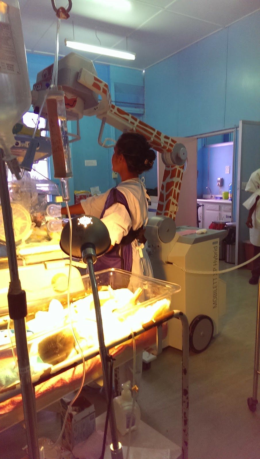 Guyana Nurse Training Program The Giraffe in the room