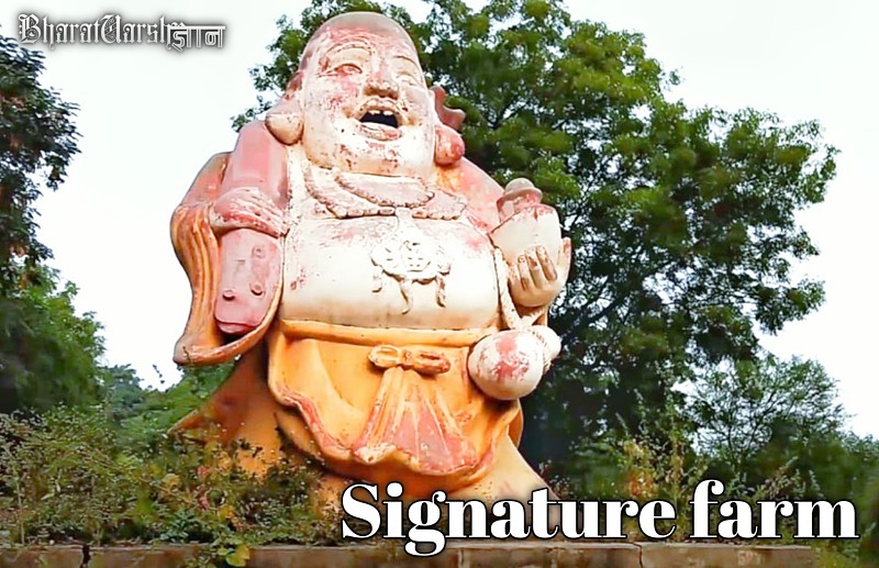 signature farm