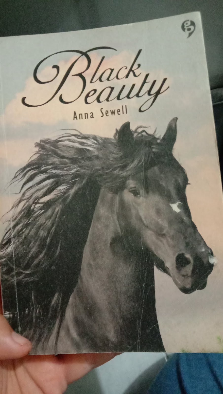 Black Beauty Review Novel