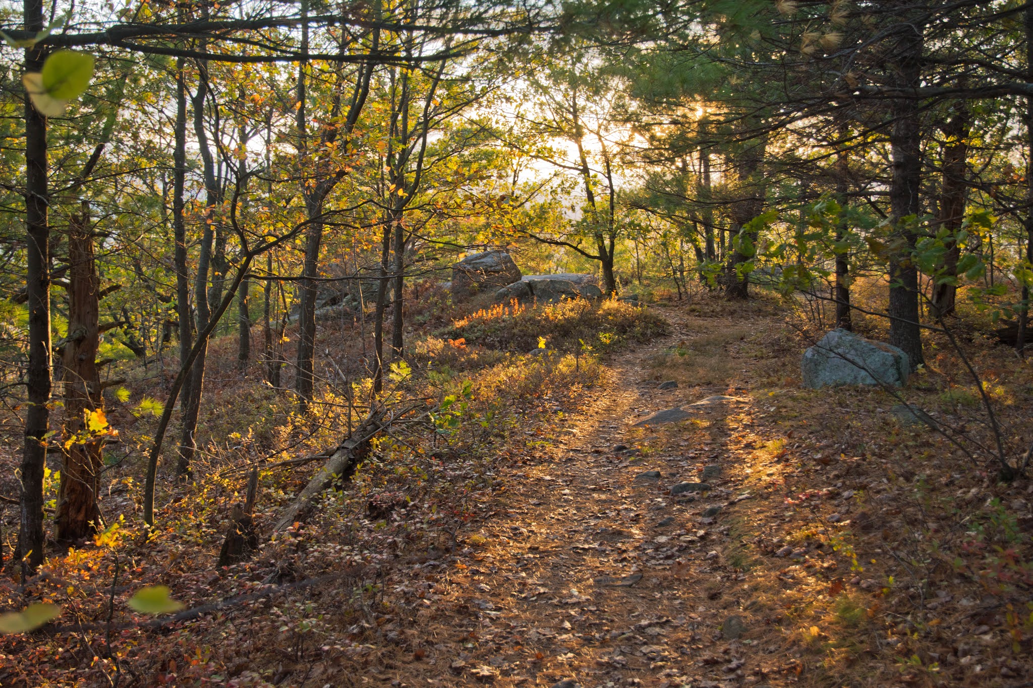 Hiking Shenandoah Rattlesnake Mountain (Lake Champlain)