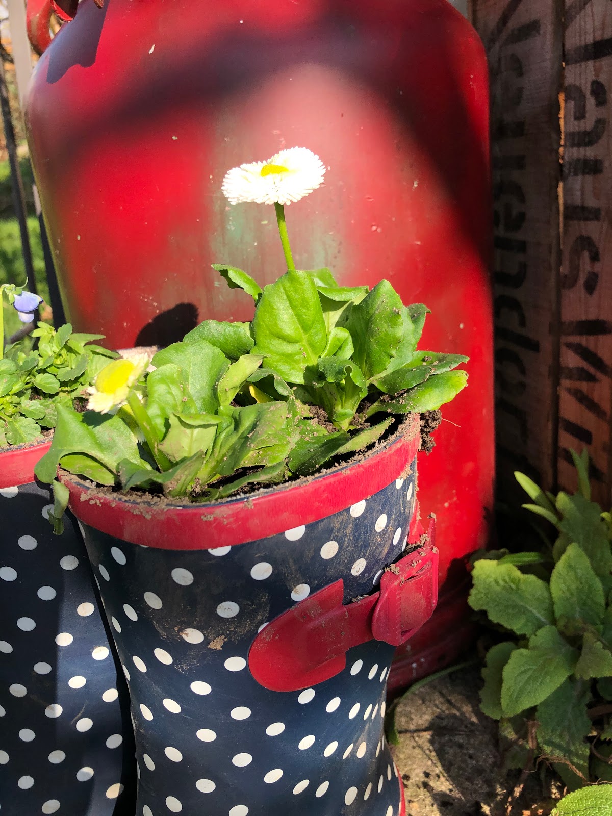 Gärtnern ist mein Yoga Gummistiefel meine Pumps