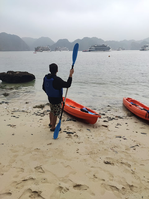 Halong Bay Island