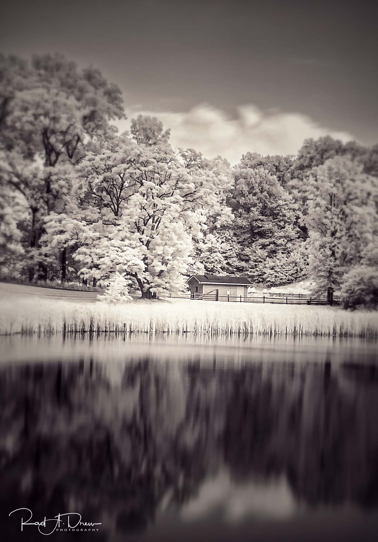 Rad A. Drew Photography Infrared for iPhone! It's Possible! It's FUN!