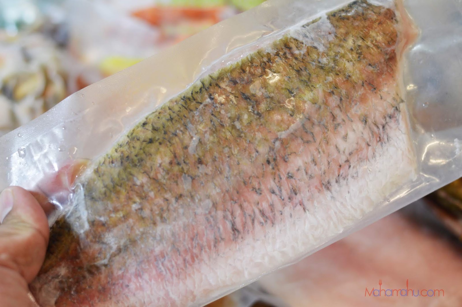 Nak Cari Produk Makanan Laut Premium Jom Seafood La Tempatnya | Blog