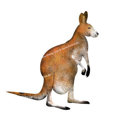 kangaroo drawing, kangaroo high-quality poster, kangaroo illustration, kangaroo eps file, kangaroo svg file, kangaroo drawing for printing, animal