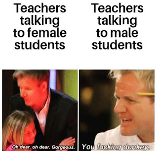 Teachers, Students, Gordon Ramsay Meme