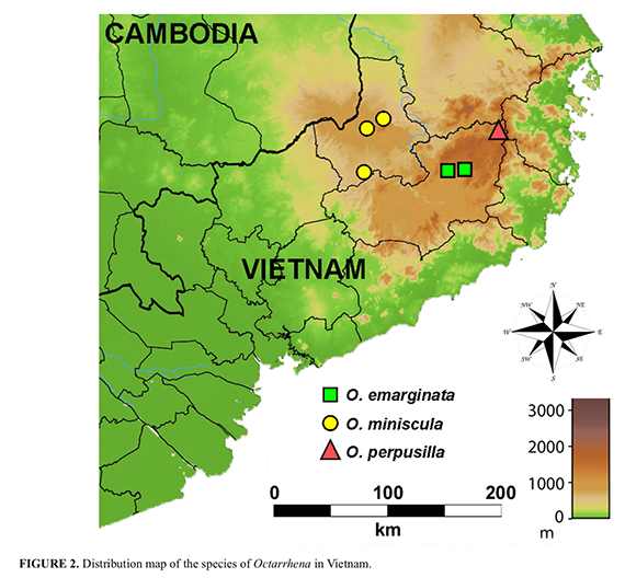 Distribution map of the species of Octarrhena in Vietnam