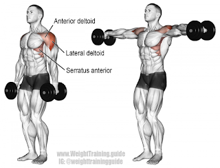 Latetal Raises Top 5 exercises For Building 3D Shoulders