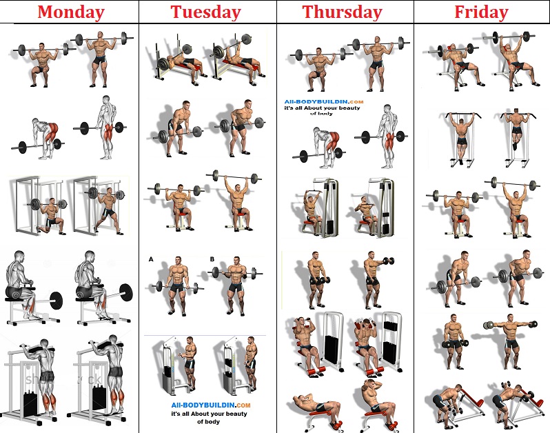 Muscle Gain Workout Plan 4 Weeks for Burn Fat fast