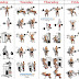 The 4 Day A Week Beginner's Workout