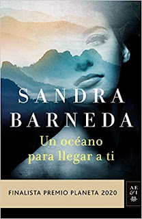 Resumen libro Un oceano para llegar a ti Sandra Barneda