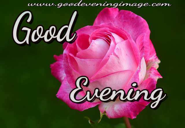 good evening love images good evening love images