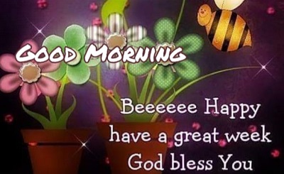 Amazing Images of Good Morning Wishes with Flowers Amazing Images of Good Morning Wishes with Flowers