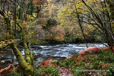 Tarr Steps, Exmoor. Photo copyright Pat Adams North Devon Focus