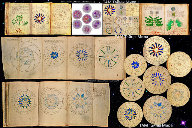 Моя расшифровка манускрипта рукописи Войнич. Рукопись долгое время пребывает абсолютной тайной неразгаданных образов. Более точнее и детально я рассказала о том, что отображено в манускрипте, в 2012 году в фильме ТАМ тайны мира История Земли Личный взгляд моя расшифровка манускрипта Войнич   В фильме я детально показываю какие растения освобождают человеческое тело от программы смерти и боли. Почему женщины выходят из чанов и что означают рисунки со звёздами и лицами гигантов внутри.  Почему никто из рода гигантов ВЕДа не спасли от уничтожения рода Катара инквизиция 18 19 века Европа