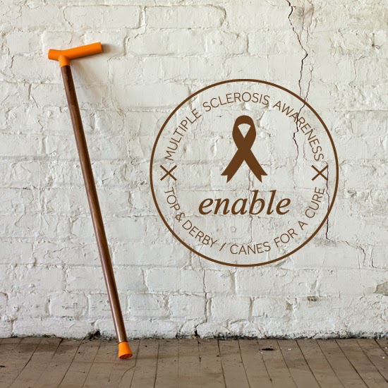 The Lesion Journals Now you can have a cane and support